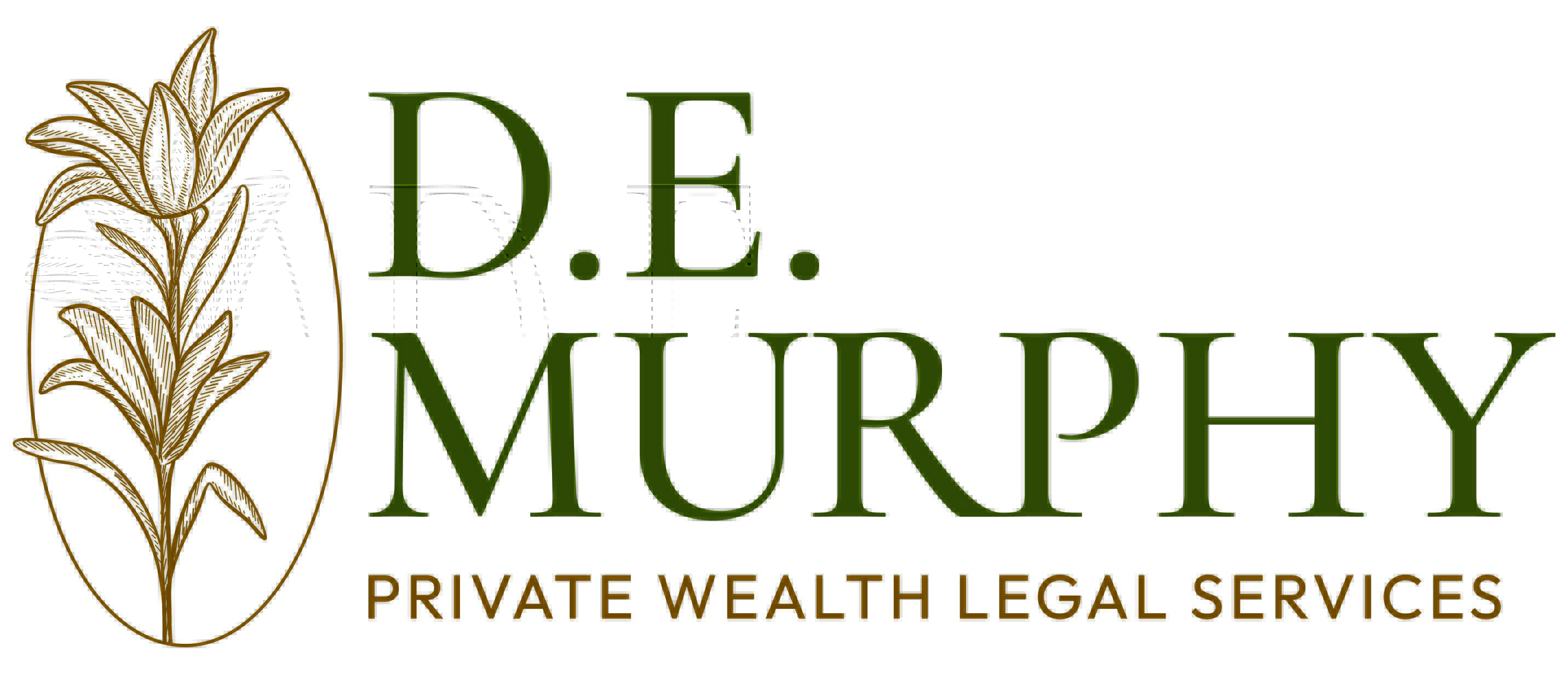D.E. Murphy PLLC logo
